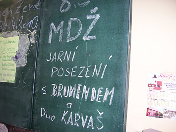 MDŽ 2011