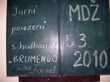 MDŽ 2010