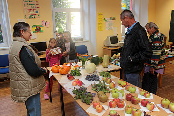 Zahrádkářská výstava 2013