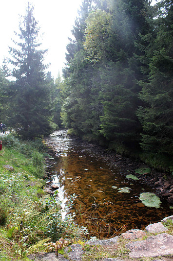 Výlet na Šumavu