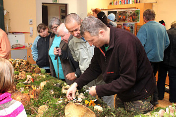 Houbařská výstava 2013