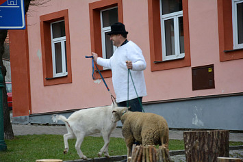 Živý betlém na kasejovickém náměstí 2014