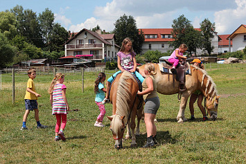 Příměstský tábor 2015 "Zlatá řemesla - nesla či nenesla?"